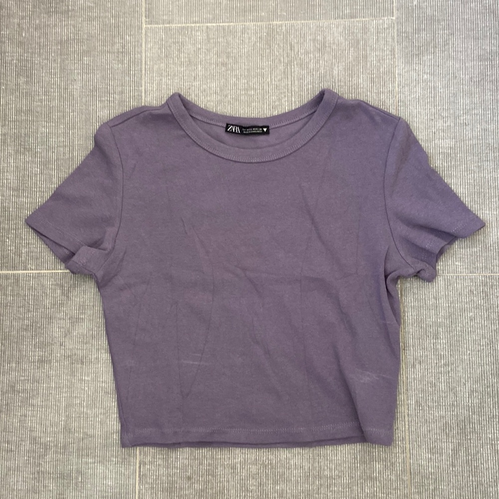 Zara cropped top